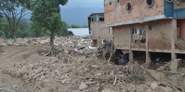 Agaclarin-Toprak-Kaymasi-Onlemedeki-Kritik-Rolu-featured