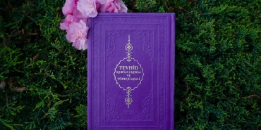 Bitkiyle-Beslenenlerin-Dunyasi-Herbivorlar-ve-Ekolojik-Rolleri-featured