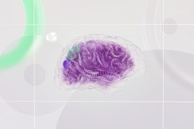 Klitoris-Sinirlerinin-Ilk-3-Boyutlu-Haritasi-Tip-Alanini-Donusturuyor-featured