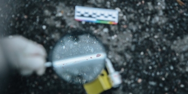 Kopekler-Bizi-Gercekten-Seviyor-mu-Bilimsel-Kanitlar-Acikliyor-featured